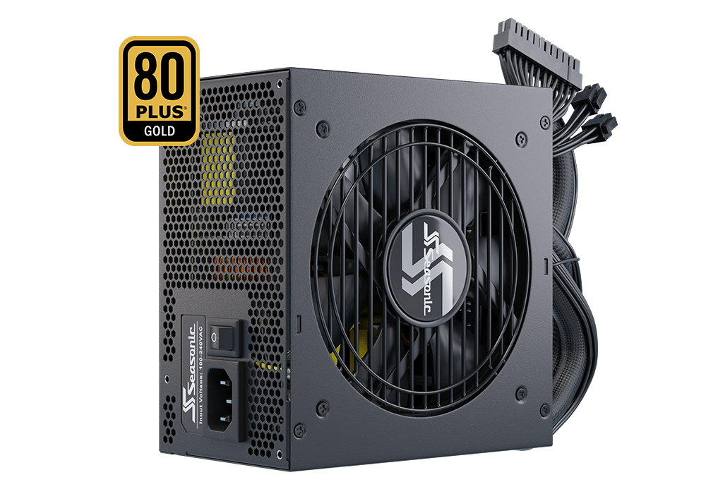  Seasonic FOCUS GX-750, 750W 80+ Gold, Full-Modular, Fan Control  in Fanless, Silent, and Cooling Mode, Perfect Power Supply for Gaming and  Various Application, SSR-750FX. : Electronics
